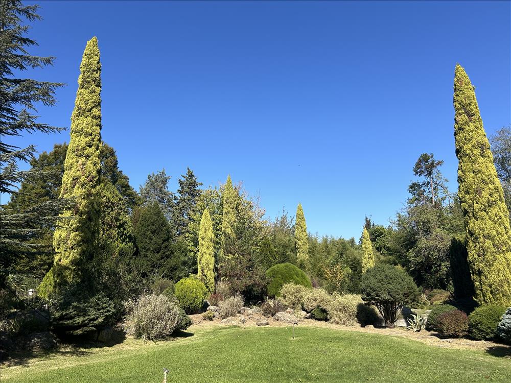 Karaca Arboretumu Teknik Gezisi