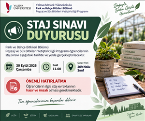 Staj Sınavı